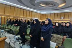 برگزاری کارگاه توانمندسازی کارشناسان تغذیه در لرستان